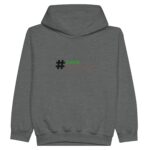 daebe2a2-54b6-46f2-86af-b955e41e9103